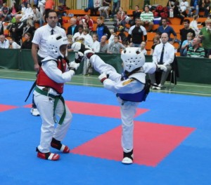 tkd_061120214_02