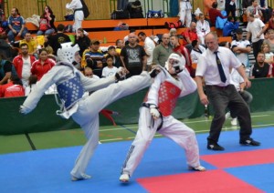 tkd_061120214_05