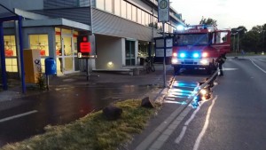 muelleimerbrand081215wiesloch