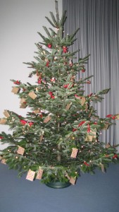 Weihnachtsbaum 20 15 036