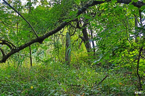 Menhir von Schatthausen