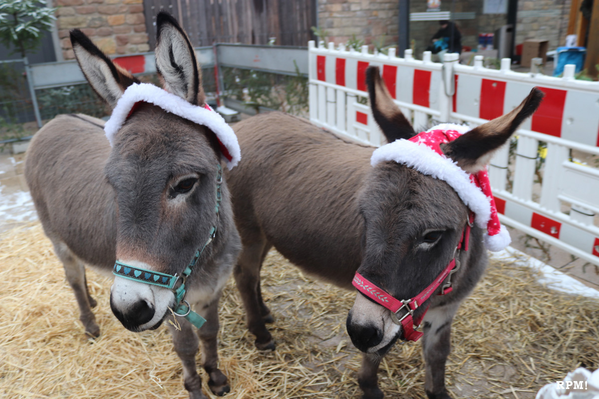 Weihnachtsmarkt Rauenberg 2018