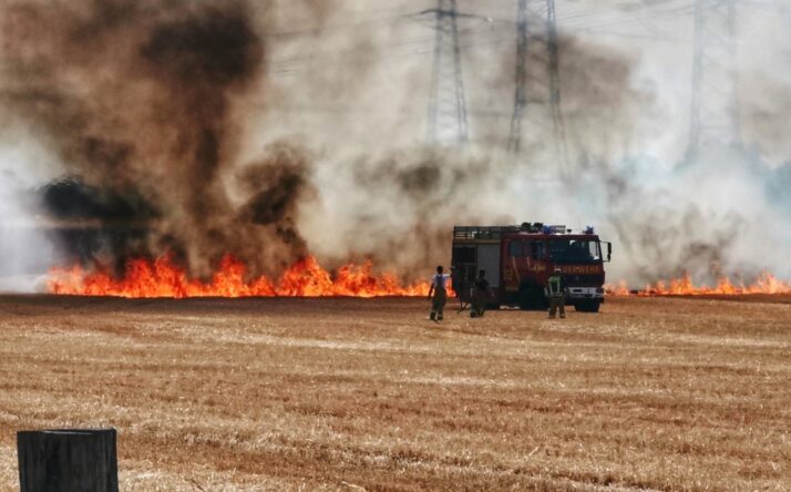 Eppelheim – Großer Flächenbrand sorgt für Feuerwehreinsatz