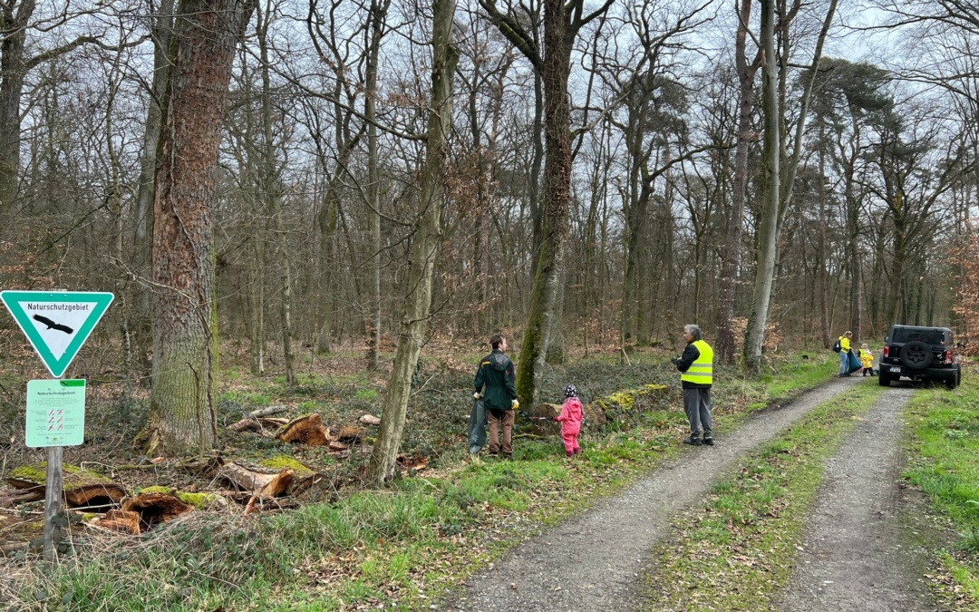 Wald von Müll befreit