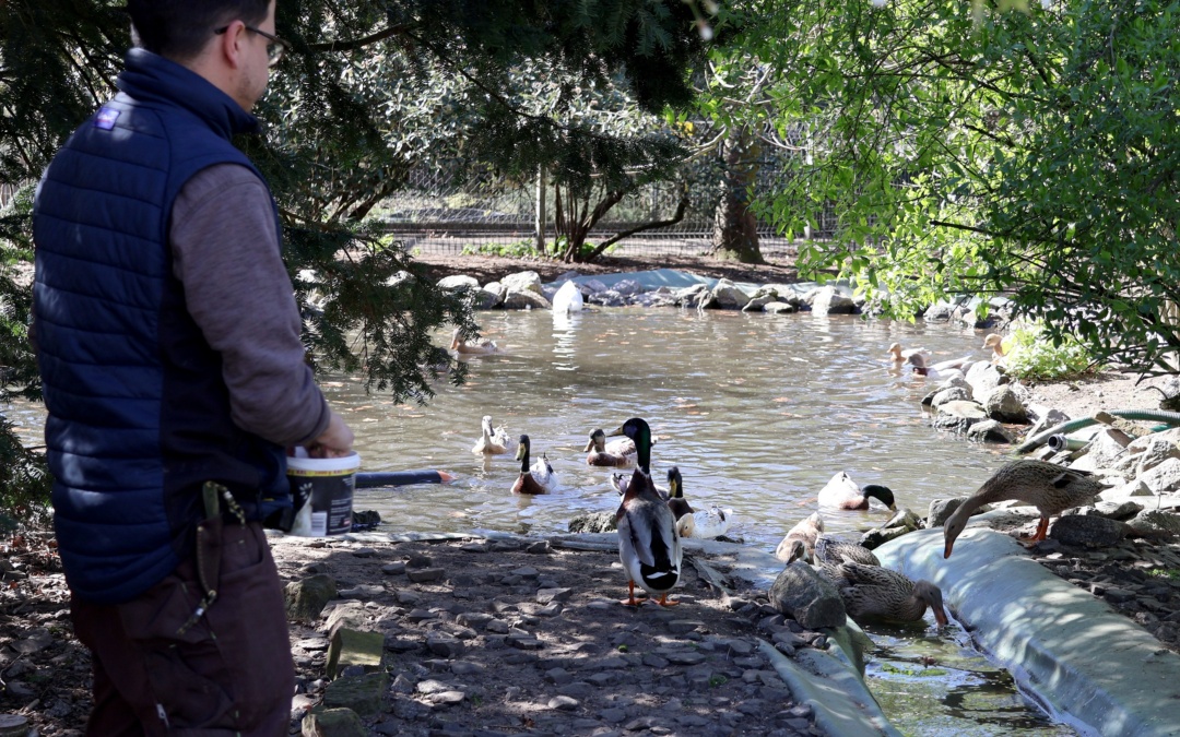 Tierpark Walldorf: Falsche Fütterung kann für Tiere gefährlich werden