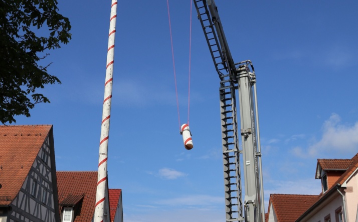 Walldorfer Zunftbaum wurde in rund zwei Stunden abgebaut