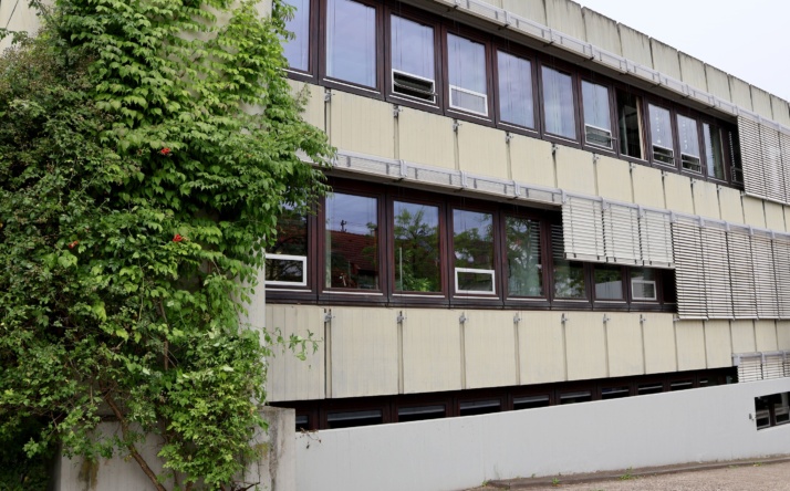 Stadt Walldorf will Fassadenbegrünung bezuschussen