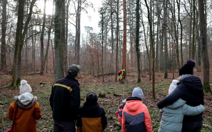 Winteraktion mit dem Forst führt die Sambuga-Schüler in den Hochholzer Wald